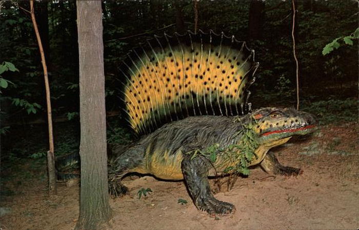 Prehistoric Forest - Dimetrodon (newer photo)